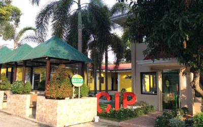 CIP English